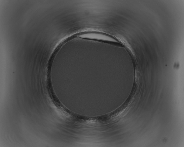 X0000091090204200708271303