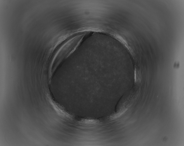 X0000091090205200708271303