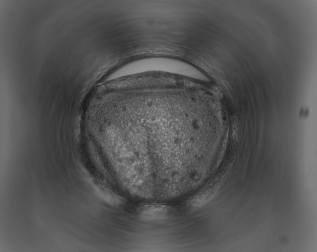 X0000091090206200708271303