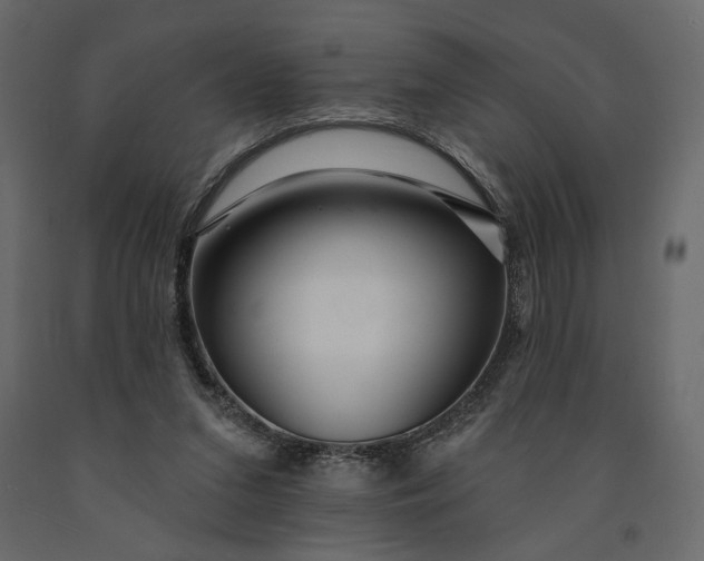 X0000091090207200708271303