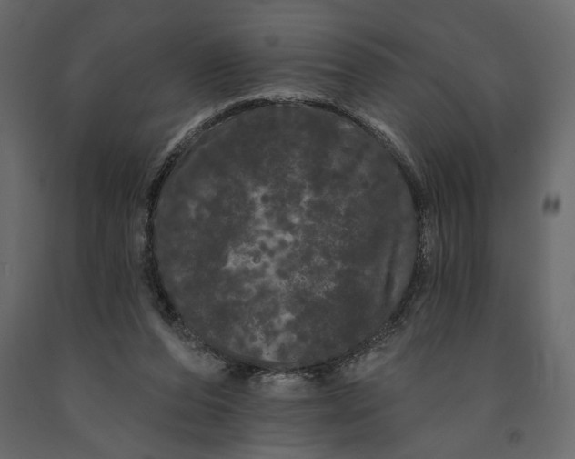 X0000091090208200708271303