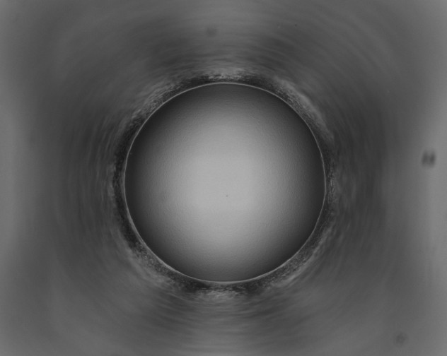 X0000091090209200708271303