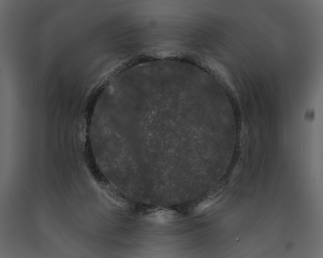 X0000091090210200708271303