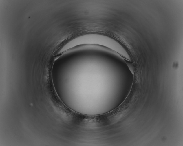 X0000091090211200708271303