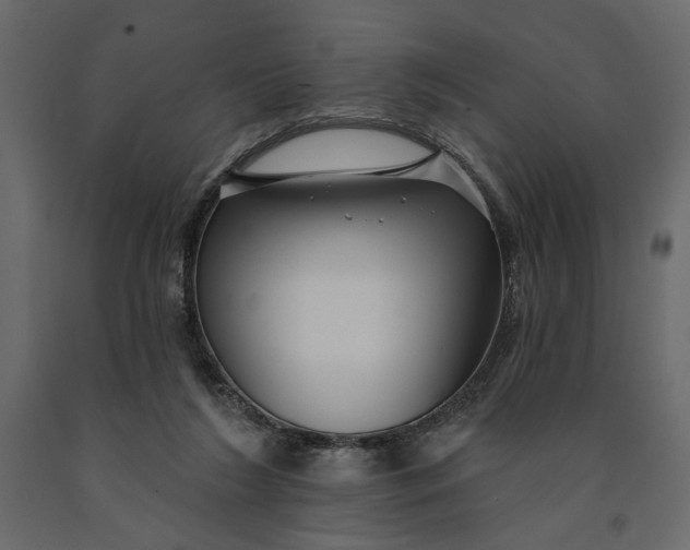 X0000091090212200708271303