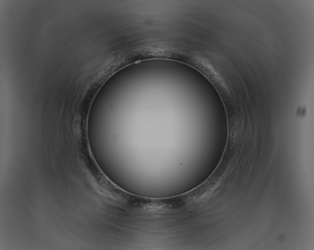 X0000091090213200708271303