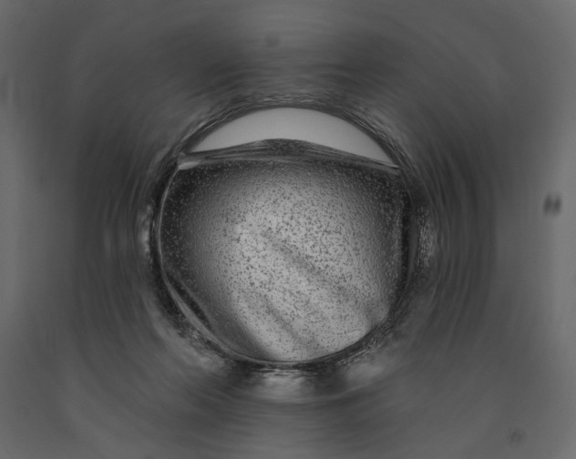 X0000091090214200708271303