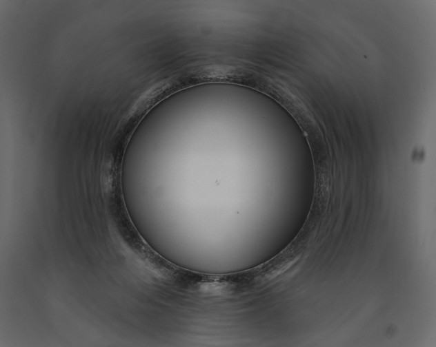 X0000091090216200708271303