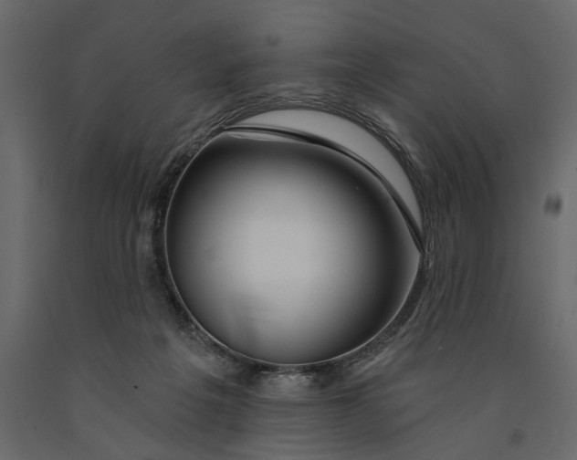 X0000091090217200708271302