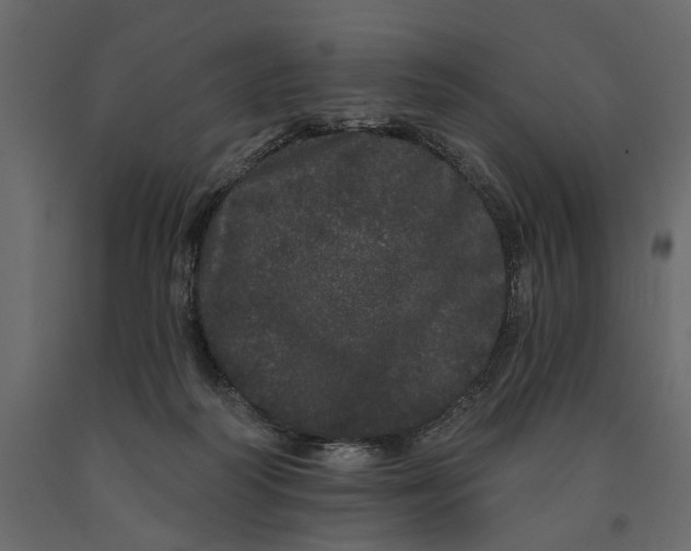 X0000091090218200708271302