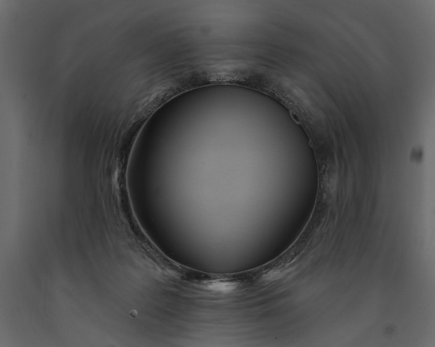 X0000091090219200708271302