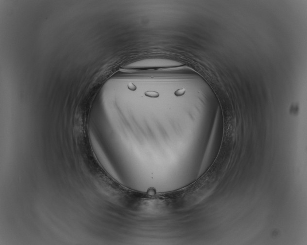 X0000091090220200708271302