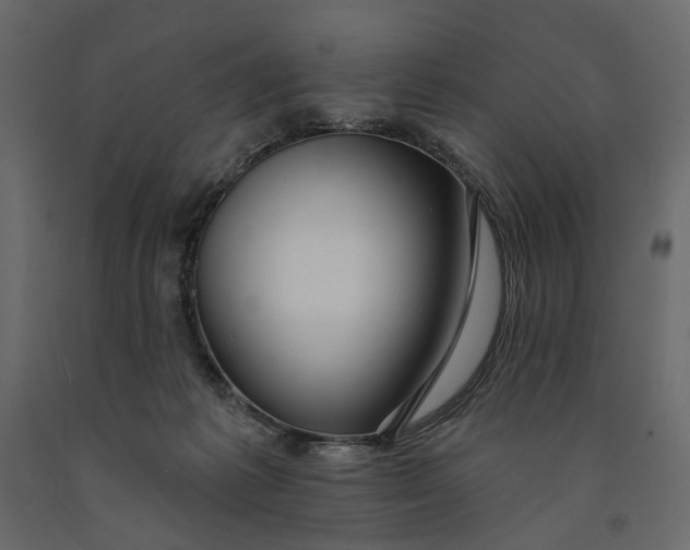 X0000091090221200708271302