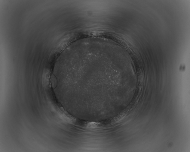 X0000091090222200708271302