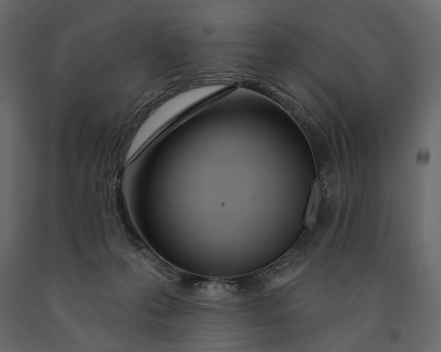 X0000091090223200708271302