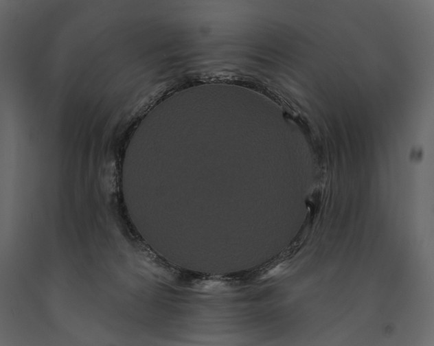 X0000091090224200708271302