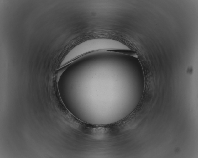 X0000091090225200708271302