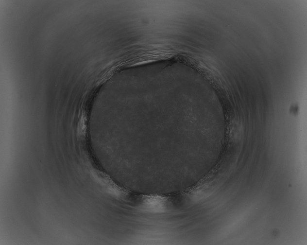 X0000091090226200708271302