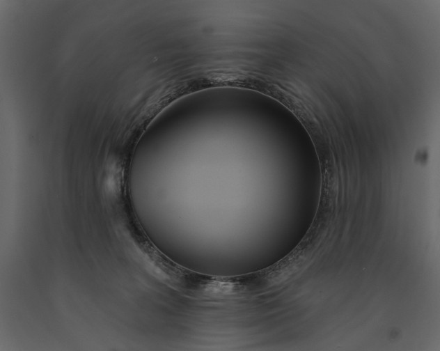 X0000091090227200708271302