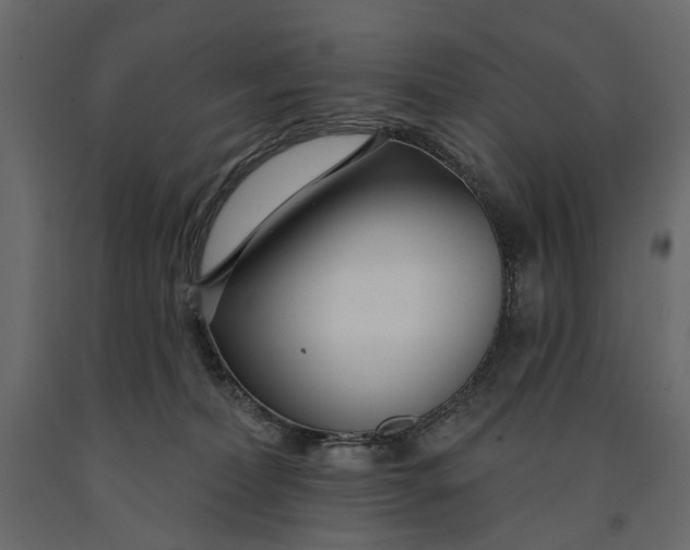 X0000091090228200708271302