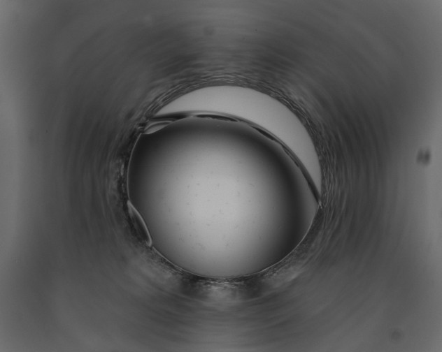 X0000091090229200708271302