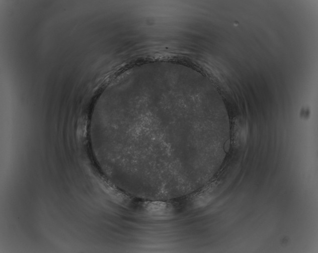 X0000091090230200708271302