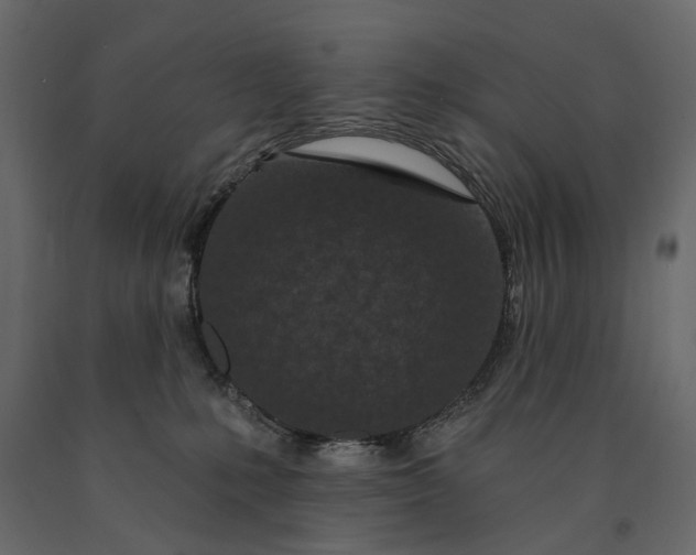 X0000091090231200708271302