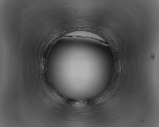 X0000091090232200708271302