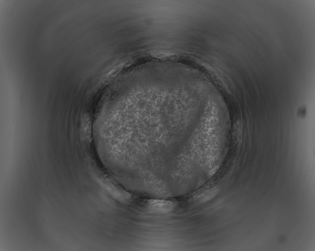 X0000091090234200708271302