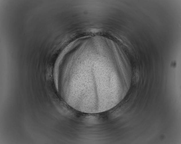 X0000091090236200708271302