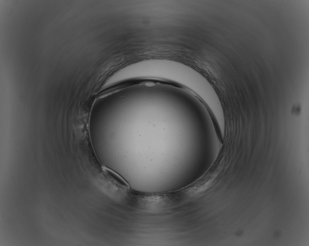 X0000091090237200708271302