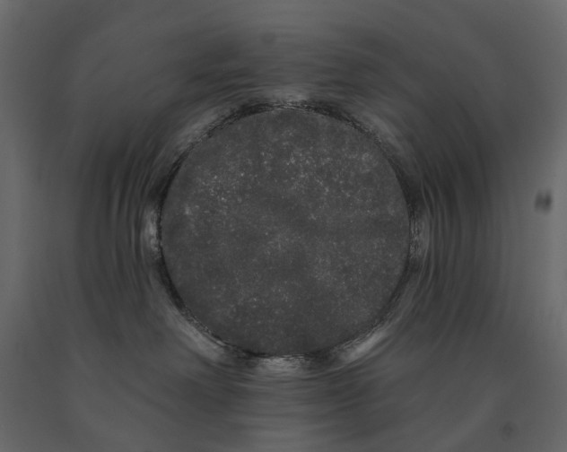 X0000091090238200708271302