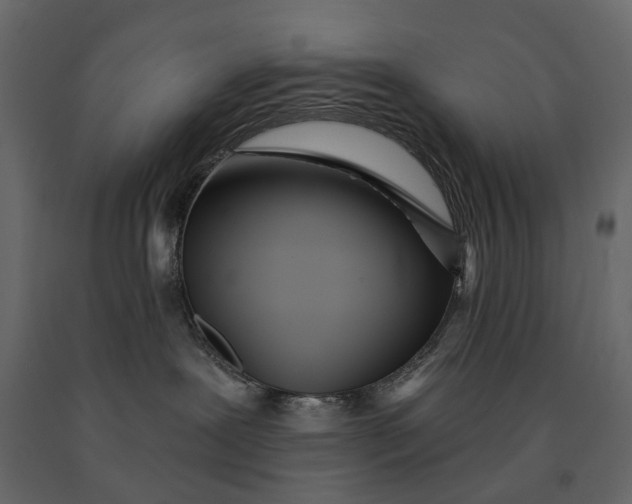 X0000091090239200708271302