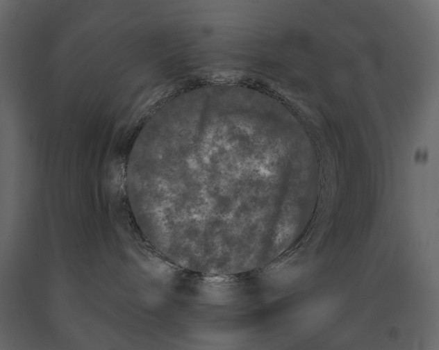 X0000091090240200708271302