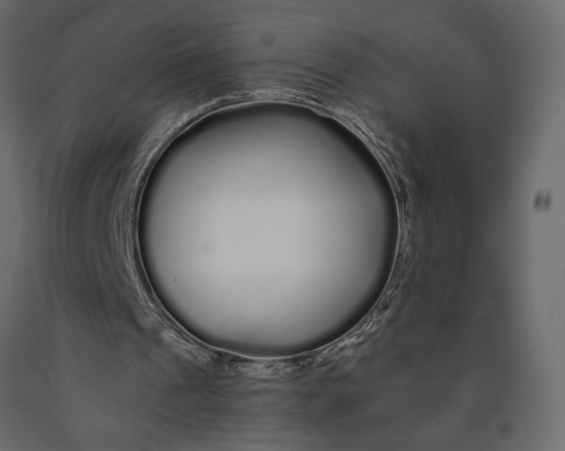 X0000091090241200708271302