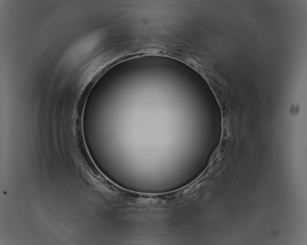 X0000091090242200708271302