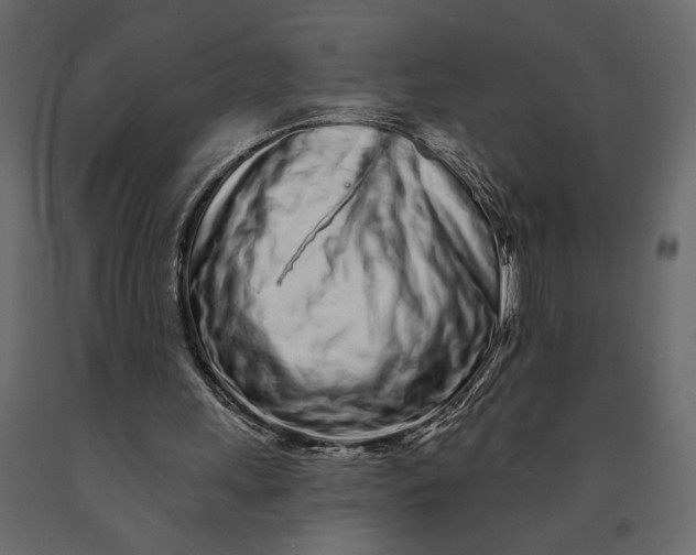 X0000091090243200708271302