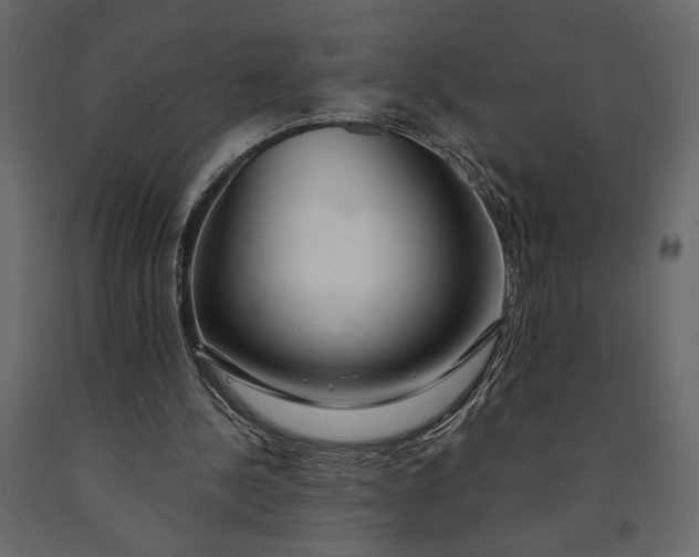 X0000091090244200708271302