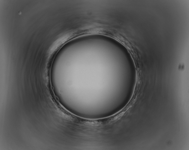 X0000091090245200708271302