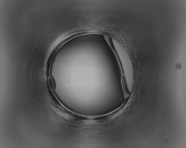 X0000091090246200708271302