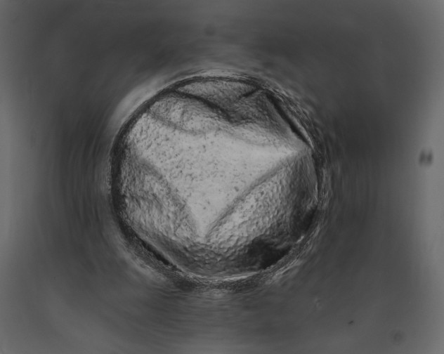 X0000091090247200708271302