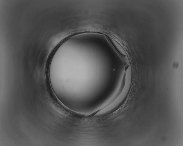 X0000091090248200708271302