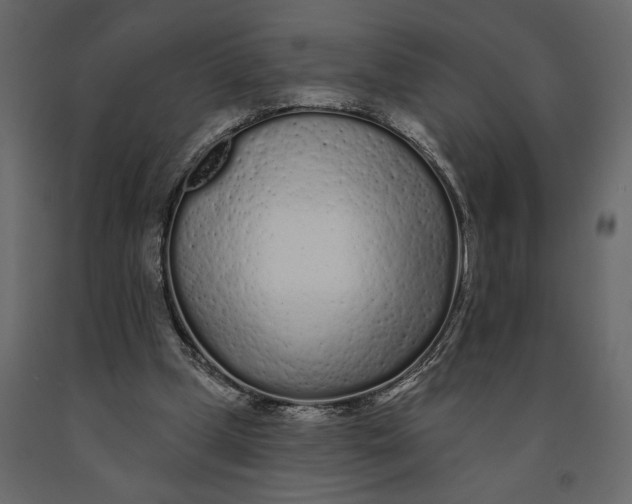 X0000091090249200708271302