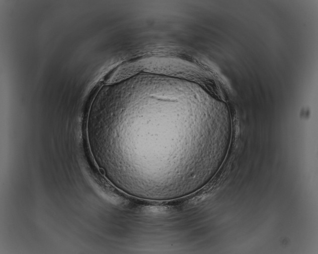 X0000091090250200708271302