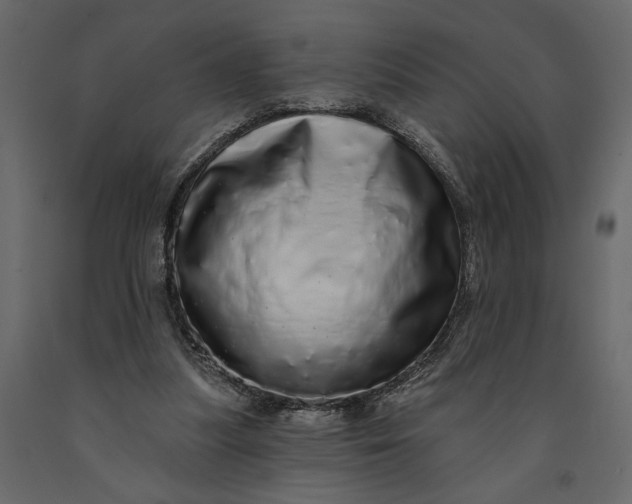 X0000091090251200708271302