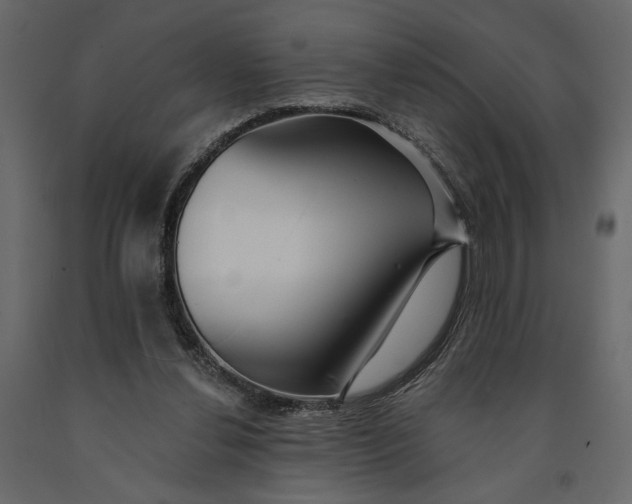 X0000091090252200708271302