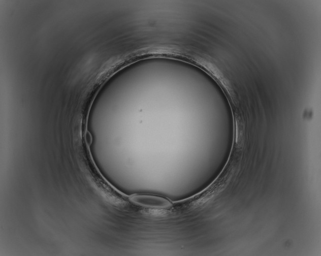 X0000091090253200708271302