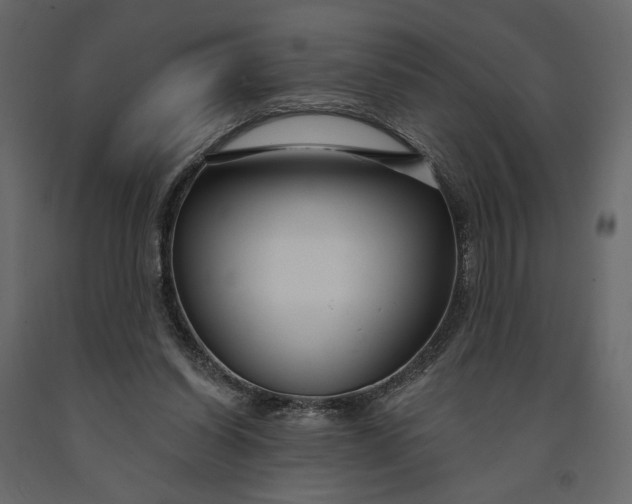 X0000091090254200708271302