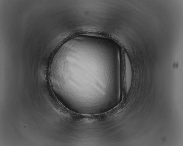 X0000091090255200708271302