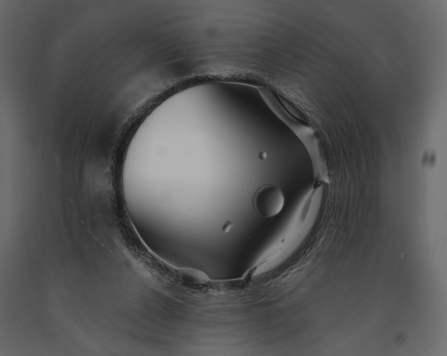 X0000091090256200708271302